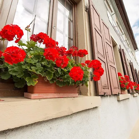 Restaurant De L'europe מלון ויסמבור