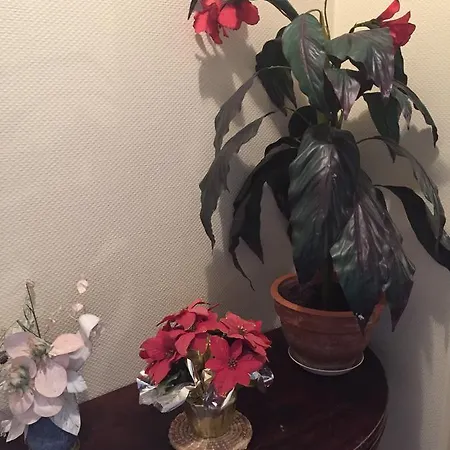 Restaurant De L'europe * ウィッサンブール